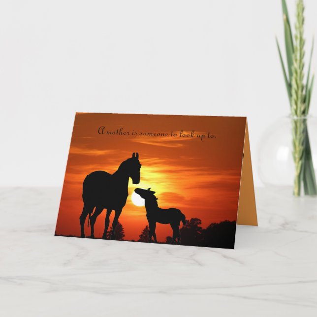 Carte Mare et poulain "Une mère est quelqu'un à qui s'ad (Devant)