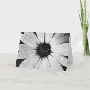 Carte Marguerite africaine en noir et blanc
