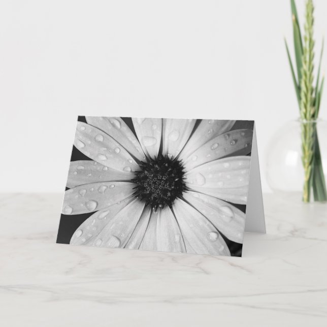 Carte Marguerite africaine en noir et blanc (Devant)