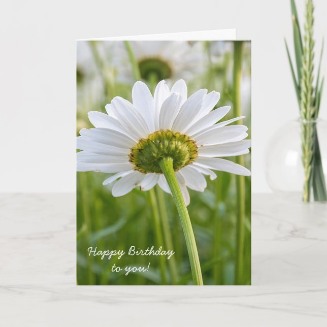 Carte marguerite-anniversaire blanc (Devant)