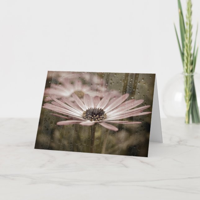 Carte marguerite avec gouttes de pluie (Devant)