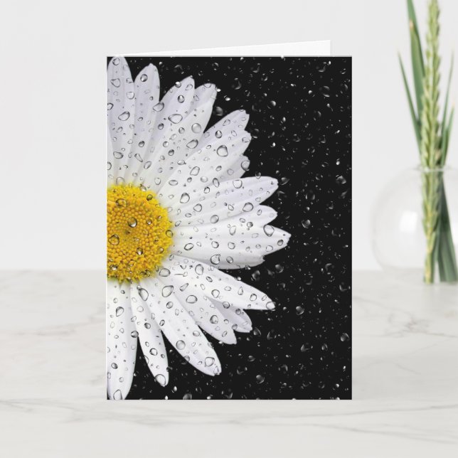 Carte marguerite blanche avec gouttes de pluie pensant à (Devant)