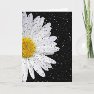 Carte marguerite blanche avec gouttes de pluie pensant à