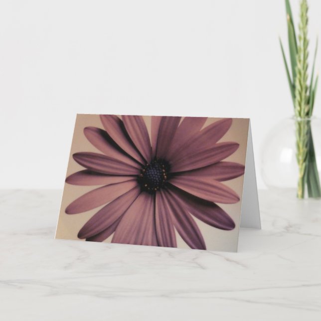 Carte Marguerite de Lavendar (Devant)