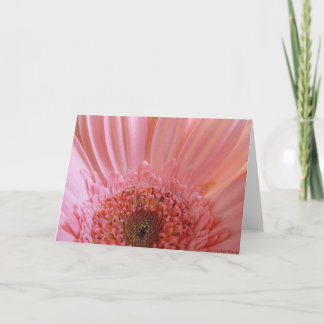 Carte Marguerite rose #731 de Gerbera
