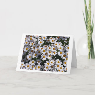 Carte Marguerites