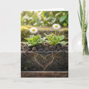 Carte Marguerites d'anniversaire dans une jardinière