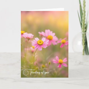 Carte Marguerites Fleurs sauvages roses dans un champ