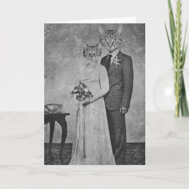 Carte Mariage de chats (Devant)