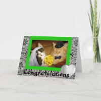 Mariage de minou