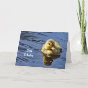 Carte Mariage Félicitations au canard