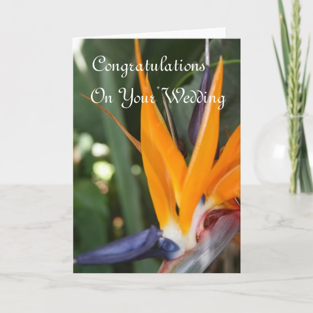 Carte Mariage Félicitations Oiseau Du Paradis (Devant)