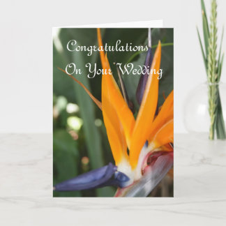 Carte Mariage Félicitations Oiseau Du Paradis