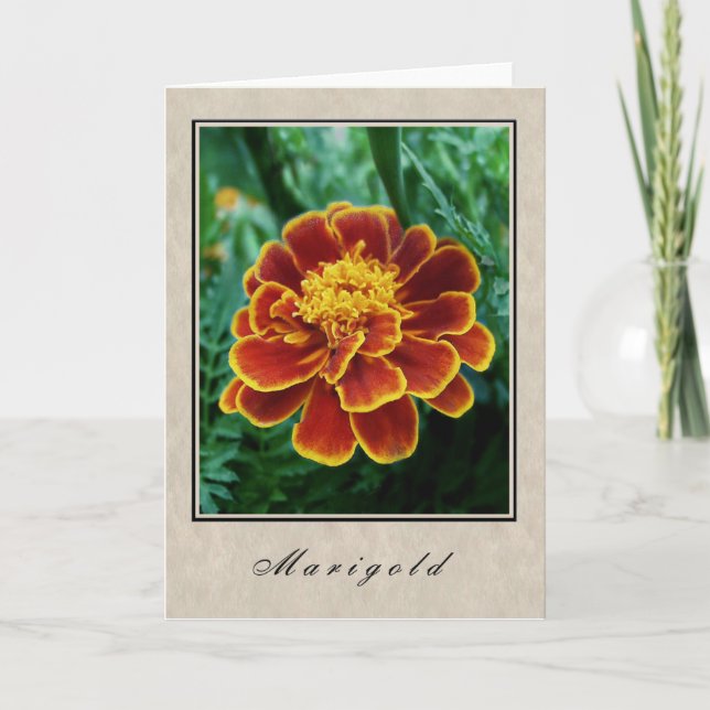 Carte Marigold - Floral Series (Devant)