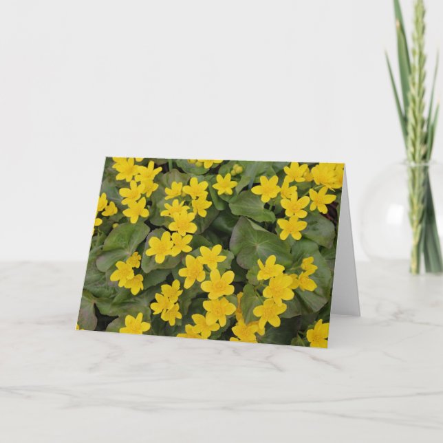 Carte Marigold Marsh en fleurs (Devant)