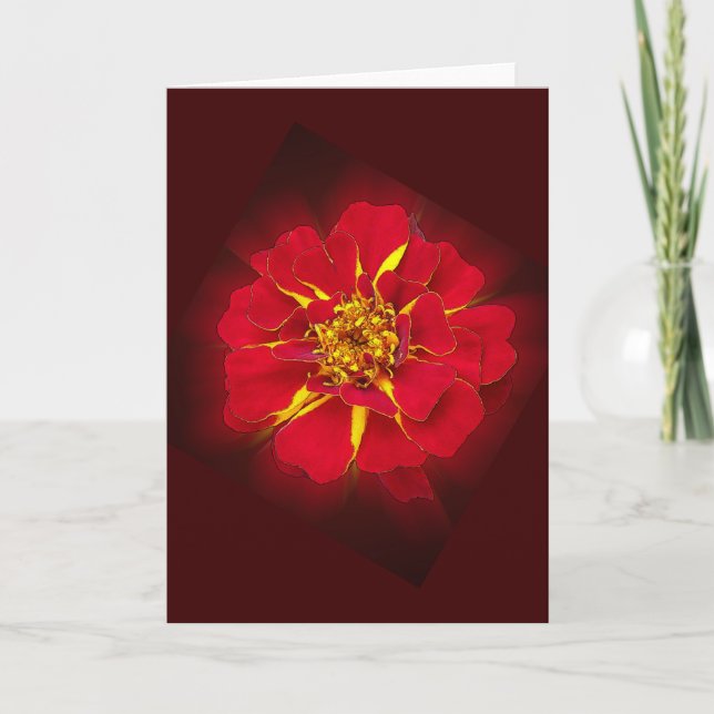 Carte marigold rouge vif (Devant)
