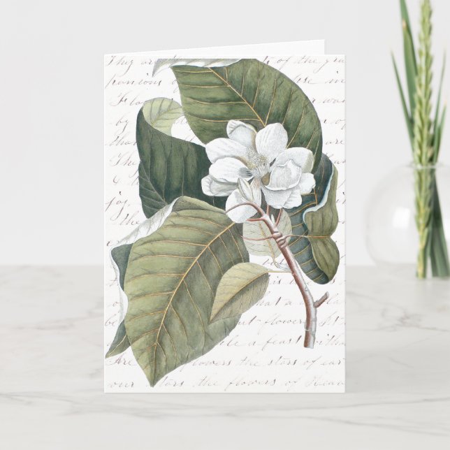 Carte Mark Catesby Magnolia Collage avec essai sur les f (Devant)