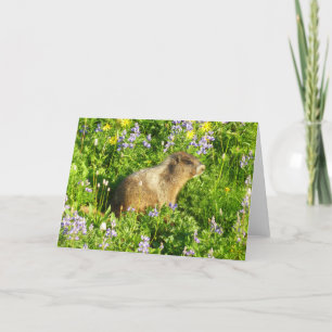 Carte Marmot dans le Mont Rainier Fleurs sauvages