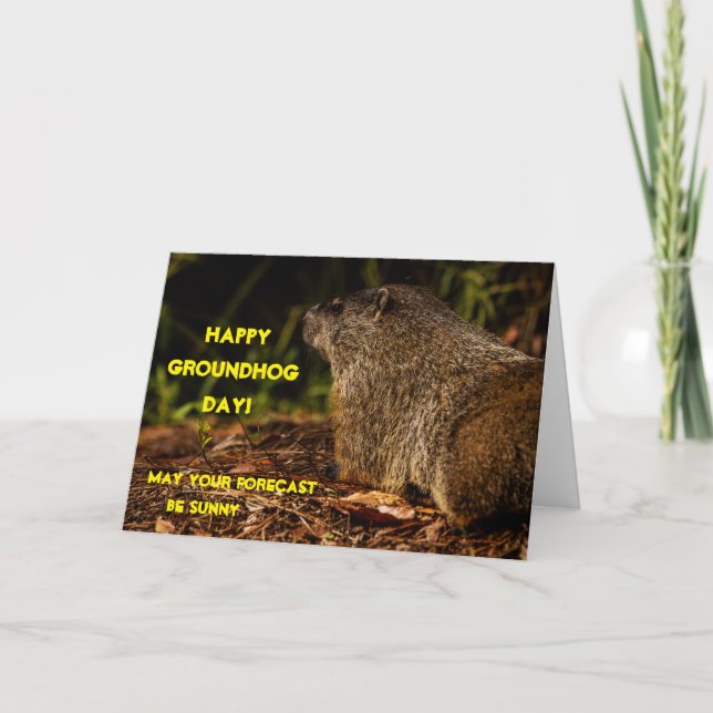 Carte Marmotte Sunny (Devant)