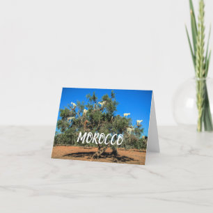 Carte Maroc  Chèvres amusantes dans les arbres