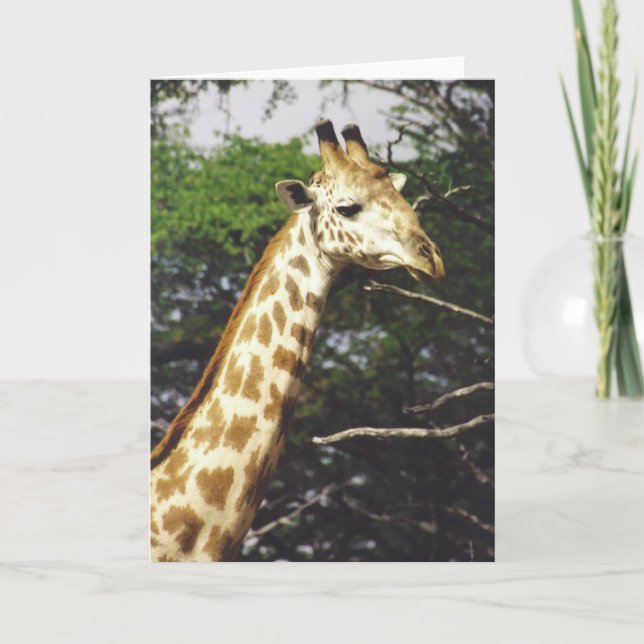 Carte Masai de Twiga (girafe de masai) (Devant)