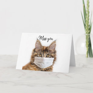Carte Mask wearing Maine Coon cat