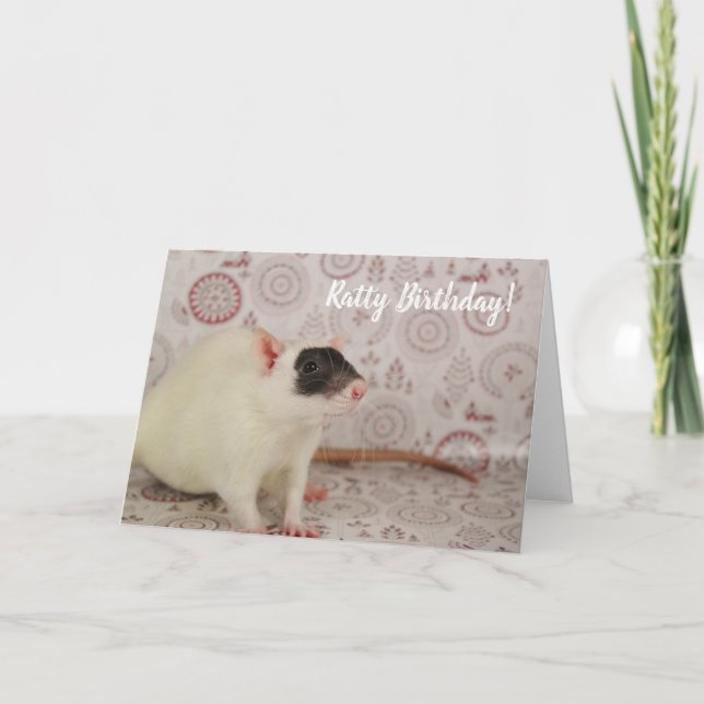 Carte Masked Rat - Ratty Birthday (Devant)