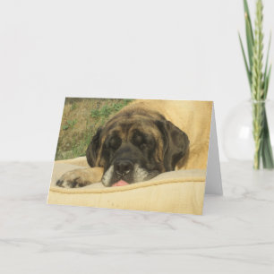 Carte Mastiff Greeting Card