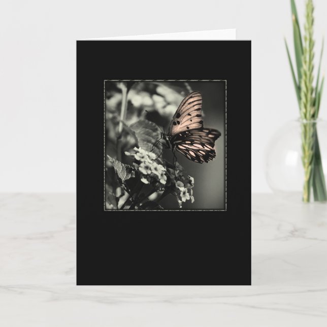 Carte Matin (Devant)