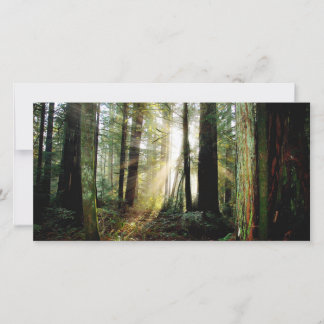 Carte Matin de Redwood