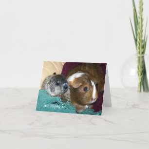 Carte Maude et Wink Note
