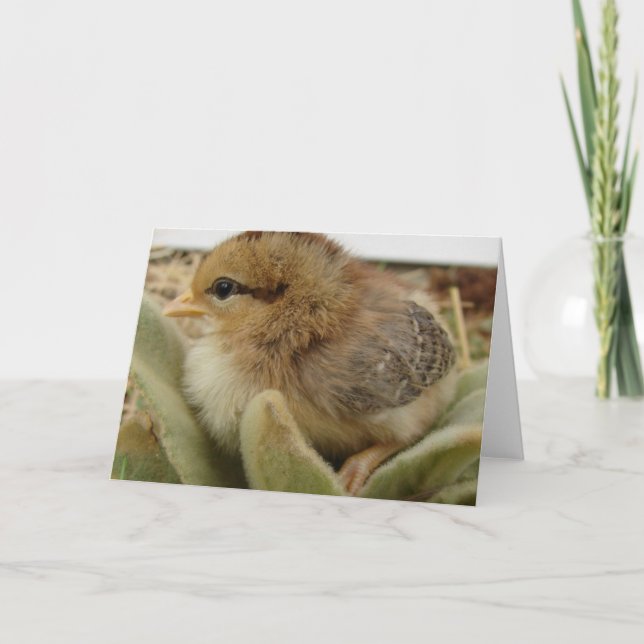 Carte Mauvaise herbe (Devant)