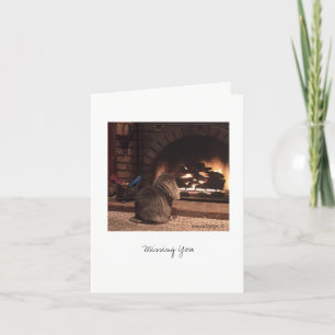 Carte Max le chat #8