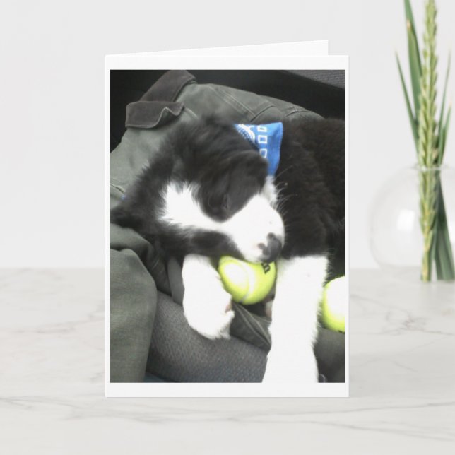 Carte Max pup (Devant)