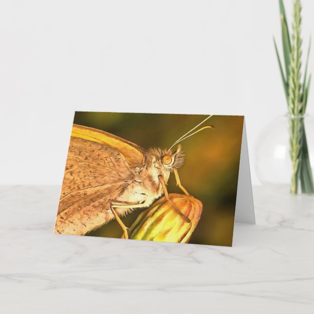 Carte Meadow Brown Beau Papillon Art (Devant)