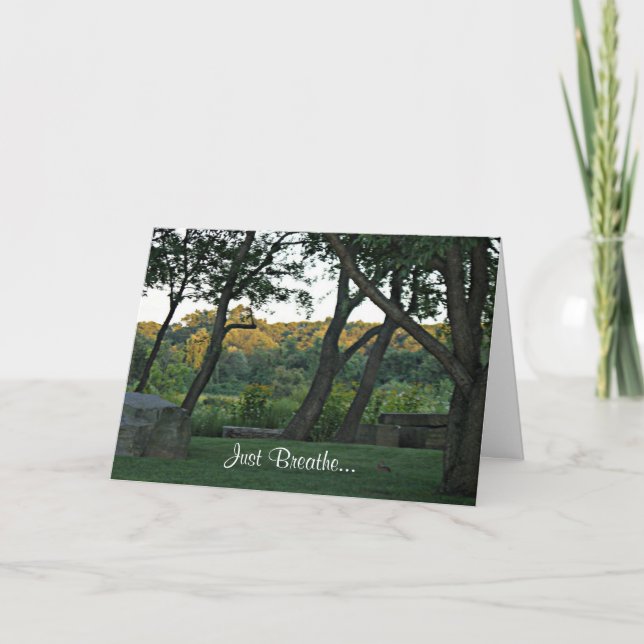 Carte Méditation dans le pré (Devant)