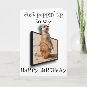 Carte Meerkat 3D   Juste pour dire... Toute occasion