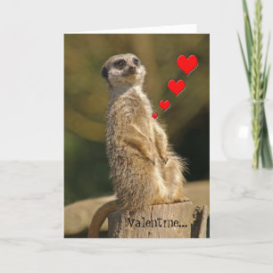 Carte Meerkat Valentine 007