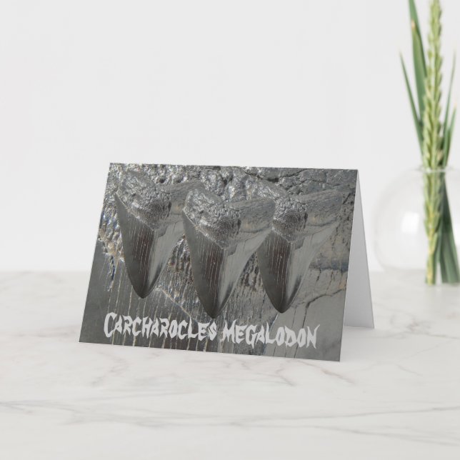 Carte Megalodon de Carcharocles (Devant)