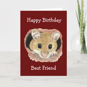 Carte Meilleur Ami Anniversaire Cute Peeking Mouse Amusa