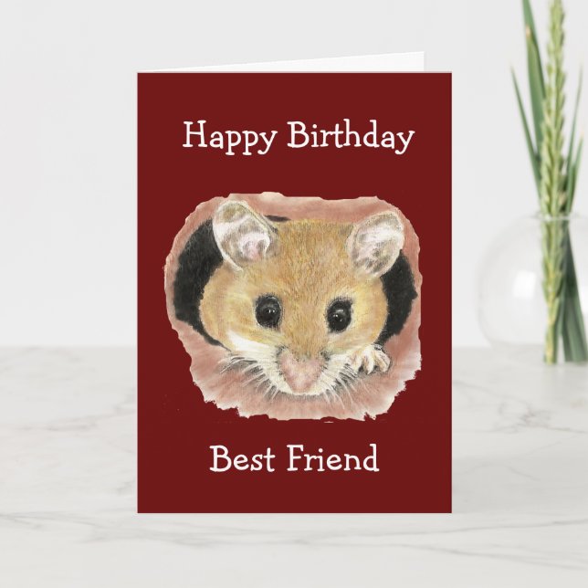 Carte Meilleur Ami Anniversaire Cute Peeking Souris Amus (Devant)