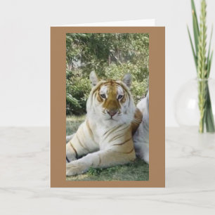 CARTE **MEILLEUR AMI** SOUHAITS SÉRIEUX D'ANNIVERSAIRE