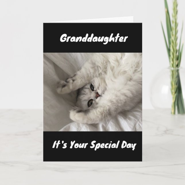 CARTE MEILLEUR ANNIVERSAIRE JAMAIS À ***GRANDFIUGHTER*** (Devant)