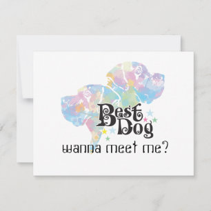 Carte Meilleur chien "coloré"