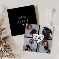 Meilleure Maman de Chien | Collage Photo
