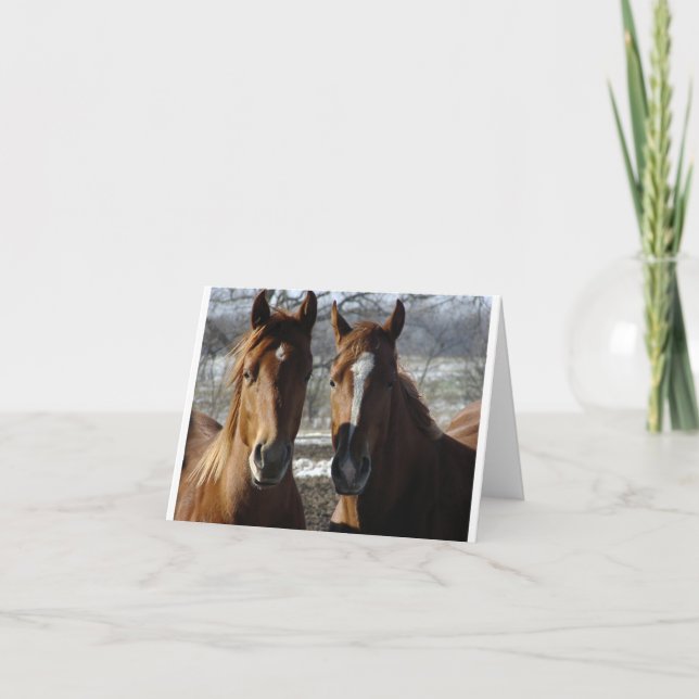 Carte Meilleurs amis (Devant)