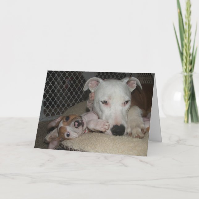 Carte Meilleurs amis… (Devant)