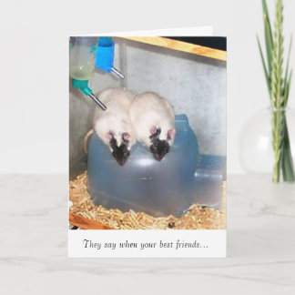 Carte Meilleurs amis 1