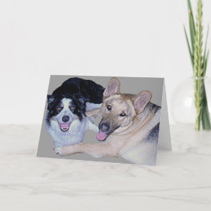 Carte Meilleurs amis Bordure Collie & Berger allemand