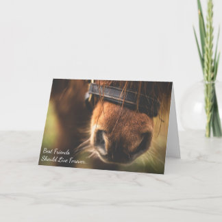 Carte Meilleurs amis Perte de Pony Custom Horse Sympathi